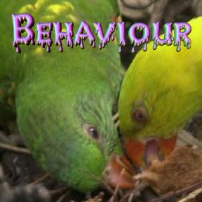 Behaviour