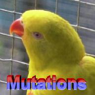 Mutations