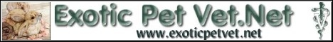 Exotic Pet Vet